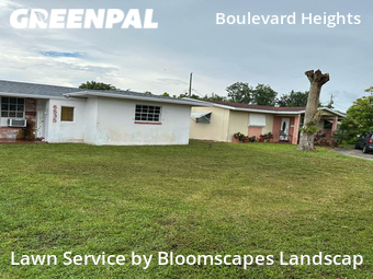 Lawn Cutting nearby Hollywood, FL, 