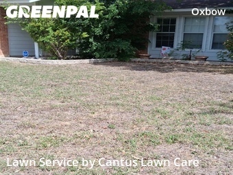 Lawn Cut nearby San Antonio, TX, 