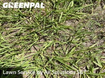 Lawn Care nearby Winter Haven, FL, 