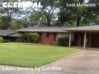 Lawn Cutting nearby Memphis, AR, 