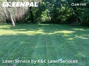 Lawn Mow nearby Evansville, IN, 