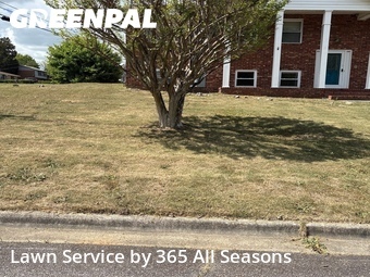 Lawn Maintenance nearby Augusta, GA, 