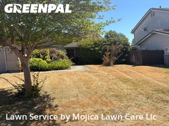 Lawn mowing work completed in Rocklin, CA