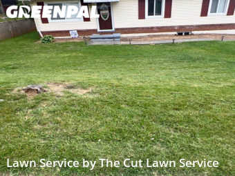 Lawn Service nearby Roanoke, VA, 