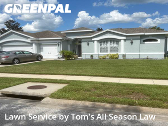 Lawn Mow nearby Spring Hill, FL, 