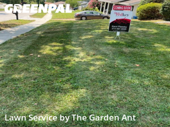 Yard Cutting nearby Ballwin, MO, 