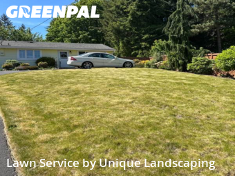 Yard Care Services in Edmonds, 98026, Grass Cutting by Quality Landscaping, work completed in Nov , 2025