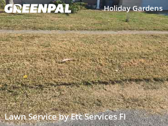 Lawn Mowing in Holiday, 34690, Lawn Services by Etc Services Fl, work completed in Nov , 2025