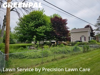 Lawn Mowing nearby Sanford, MI, 