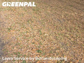 Commercial Landscaping In North Charleston,29420,Landscaping by Bdrlandscaping, work completed in Jul , 2026