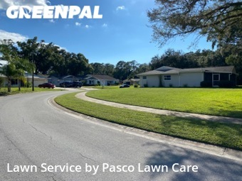 Lawn Mowing Service nearby Palm Harbor, FL, 