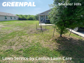 Lawn Cut nearby San Antonio, TX, 