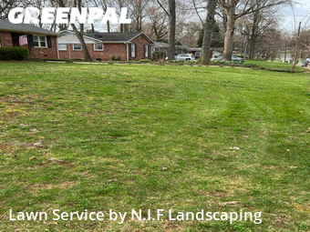 Yard Cutting nearby Charlotte, NC, 