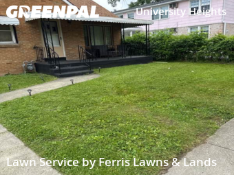 Grass Cut nearby Buffalo, NY, 