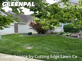 Lawn Mow nearby O'fallon, MO, 