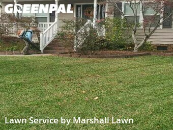 Yard Cutting nearby Chesapeake, VA, 