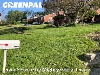 Grass Cut nearby Bethel Park, PA, 