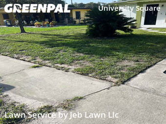 Lawn Mowing Service nearby Tampa, FL, 
