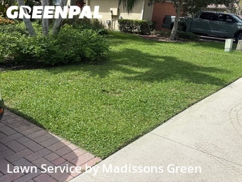 Lawn mowed in Wellington, 33414