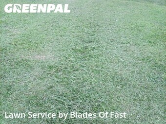 Lawn Mow nearby Griffin, GA, 