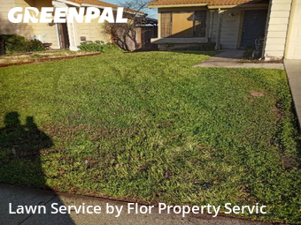 Grass Cut nearby San Jose, CA, 