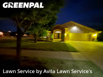 Lawn Cuttingin Norman,73071,Yard Cutting by Avila Lawn Service’s, work completed in Nov , 2025