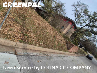 Lawn Cuttingin Euless,76040,Lawn Mowing Service by COLINA CC COMPANY, work completed in Jan , 2026
