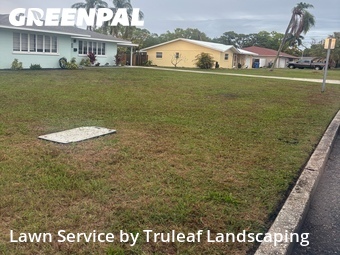 Grass Cutting nearby Bradenton, FL, 