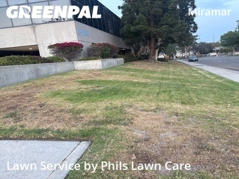 Yard Cutting nearby San Diego, CA, 