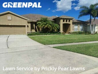 Yard Cutting nearby Ocoee, FL, 