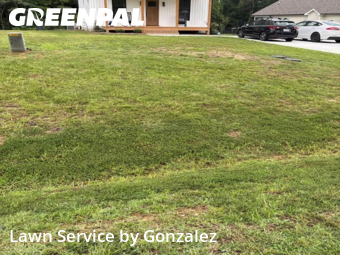 Lawn Care nearby Four Oaks, NC, 