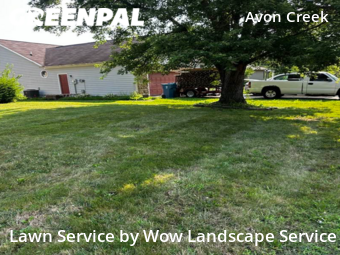 Lawn Care nearby Indianapolis, IN, 