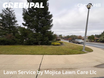 Work completed by lawn-mowing-quotes-in-Rocklin-CA