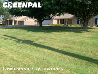 Grass Cutting nearby Harvest, AL, 