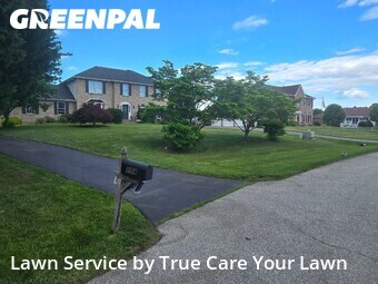 Lawn Cut nearby Bear, DE, 
