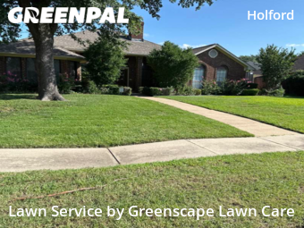 Grass Cutting nearby Garland, TX, 
