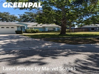 Lawn Mowing Service nearby Clermont, FL, 