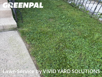 Lawn Care Service nearby Philadelphia, PA, 