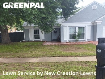 Yard Mowing nearby Brandon, FL, 