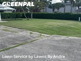 Yard Cutting nearby Palm Coast, FL, 