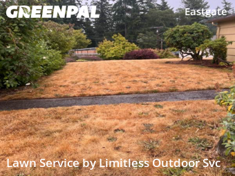 Yard Cutting nearby Bellevue, WA, 