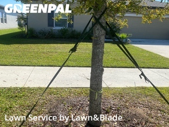 Grass Cutting nearby Sanford, FL, 