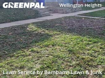 Lawn Maintenance nearby Cedar Rapids, IA, 