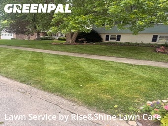 Lawn mowed in Champaign, 61821