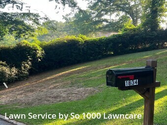 Lawn Mowing Service nearby Decatur, GA, 