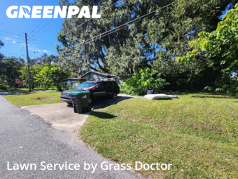 Grass Cutin Orlando,32805,Lawn Care Service by Grass Doctor, work completed in Oct , 2025