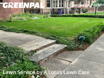 Lawn Mowing Service nearby Denver, CO, 