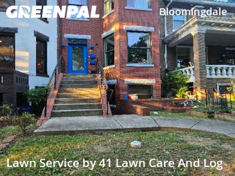 Grass Care in Washington, 20001, Lawn Cutting by 41 Lawn Care And Log, work completed in Oct , 2025
