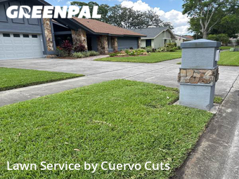 Grass Cutting nearby Tampa, FL, 