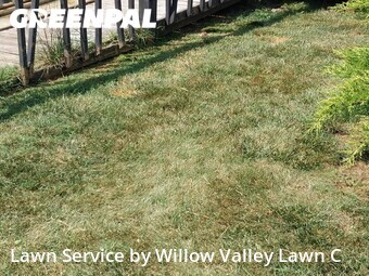 Lawn Cut nearby Roanoke, VA, 